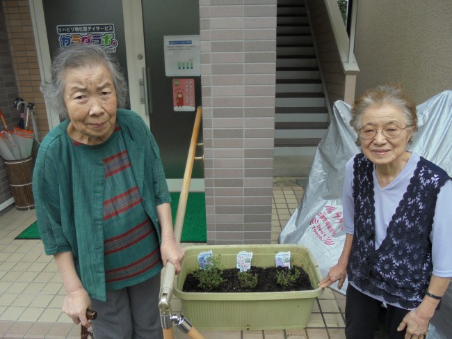 宮城野