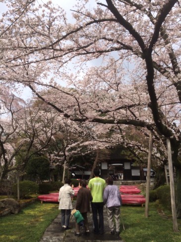 宮城野