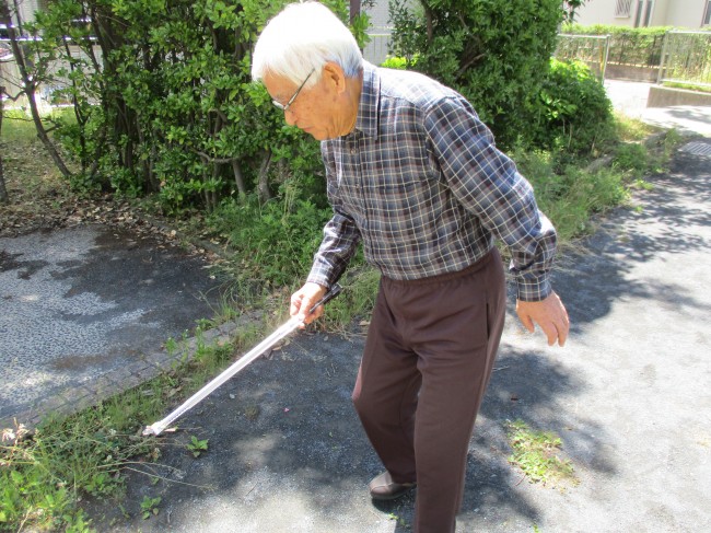 宮城野