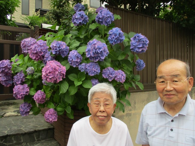 宮城野