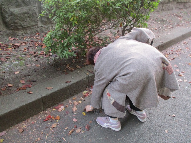 宮城野