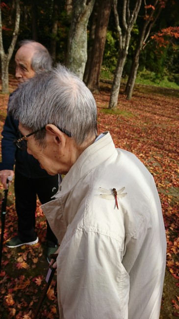 すいげ