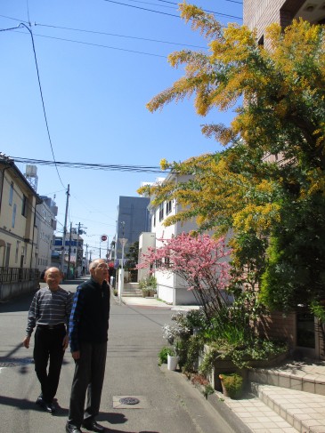 宮城野