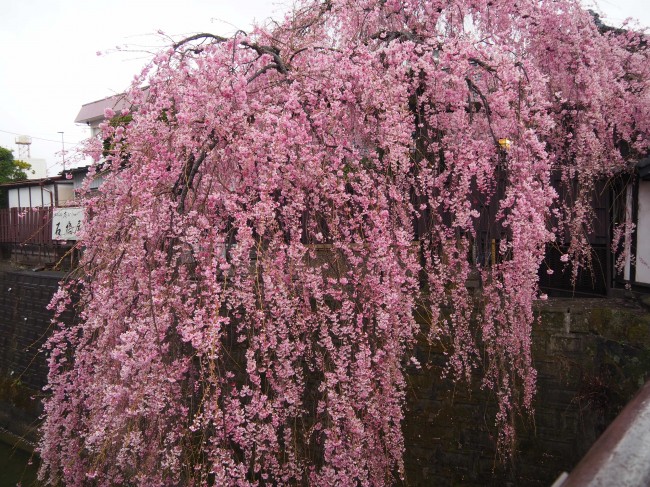 宮城野