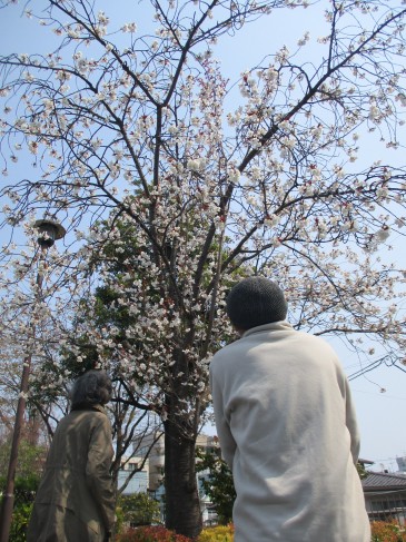 宮城野